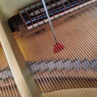 Reinigungs-Set für den Resonanzboden von Flügeln und Klavieren