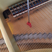 Reinigungs-Set für den Resonanzboden von Flügeln und Klavieren