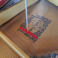 Reinigungs-Set für den Resonanzboden von Flügeln und Klavieren