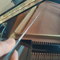 Reinigungs-Set für den Resonanzboden von Flügeln und Klavieren